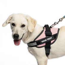 Load image into Gallery viewer, Personalised No Pull Dog Harness UK- No More Lost Dog Worries
