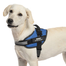 Load image into Gallery viewer, Personalised No Pull Dog Harness UK- No More Lost Dog Worries
