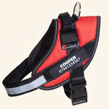 Load image into Gallery viewer, Personalised No Pull Dog Harness UK-Sale Ends Tonight!
