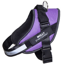 Load image into Gallery viewer, Personalised No Pull Dog Harness UK
